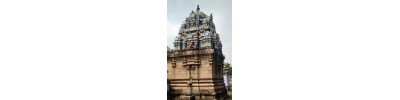 143. திருமருகலும் செங்காட்டக்குடியும்